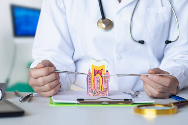 Best Same-Day Emergency Dental Services in Victoria, KS